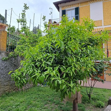 Affittacamere Antonella Monterosso al Mare Ngoại thất bức ảnh