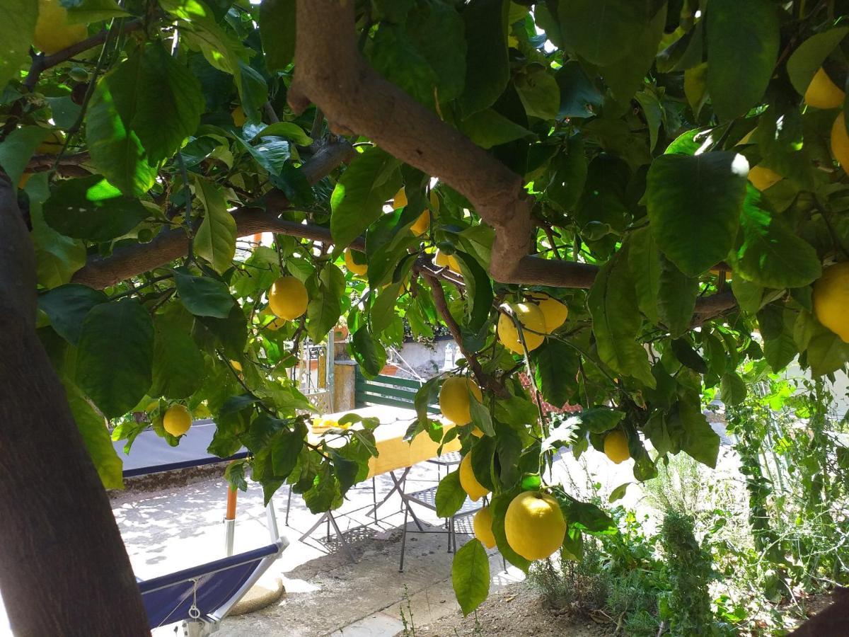 Affittacamere Antonella Monterosso al Mare Ngoại thất bức ảnh