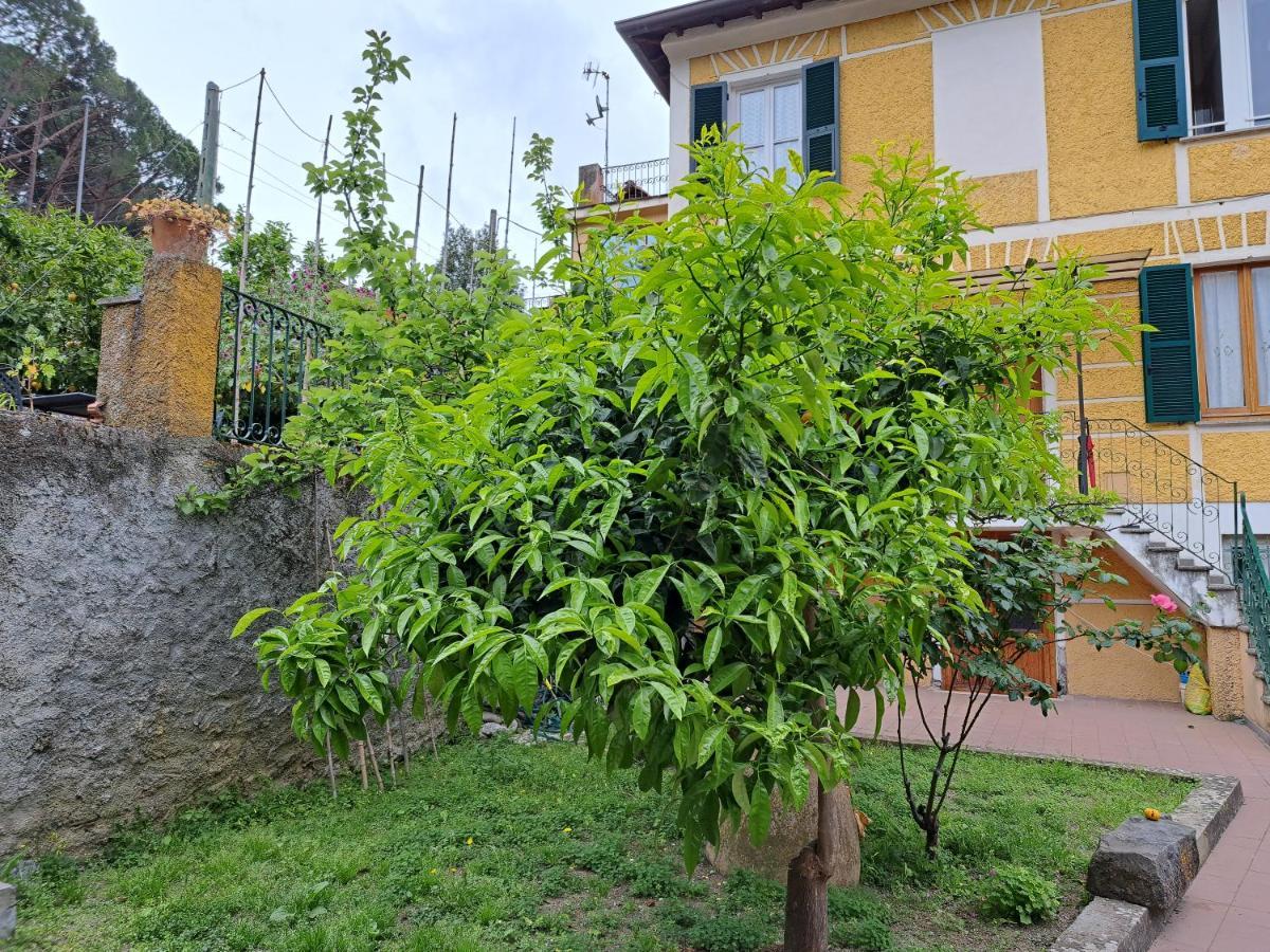 Affittacamere Antonella Monterosso al Mare Ngoại thất bức ảnh